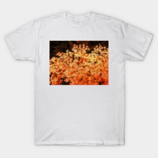 floral fantasy abstract in golden yellow and orange T-Shirt